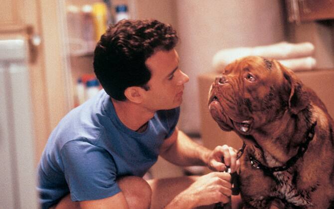 Giornata Mondiale Del Cane Da Hachiko A Belle Sebastien I Film Con Il Miglior Amico Dell Uomo Sky Tg24