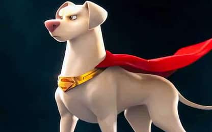 DC League of Super-Pets, il nuovo teaser del film animato. VIDEO