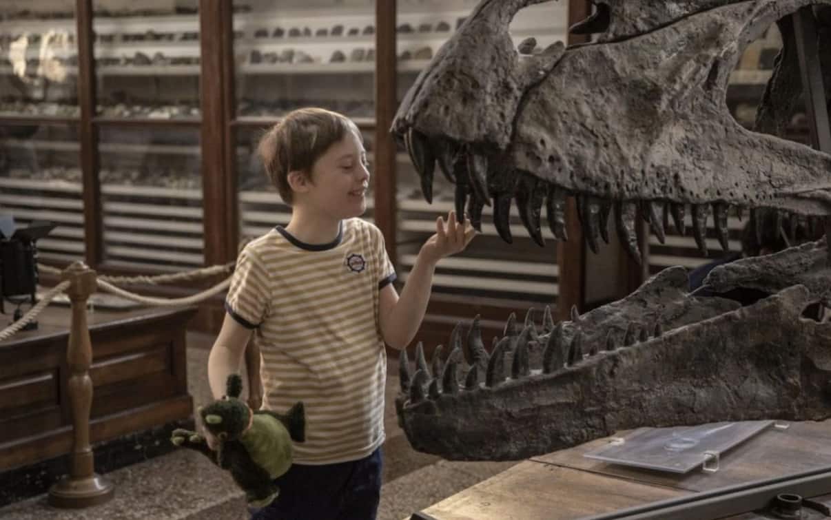 Mio Fratello Rincorre I Dinosauri Differenze Tra Libro E Film