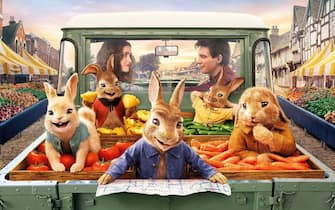 Peter Rabbit 2: un birbante in fuga