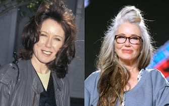 Mary McDonnell getty