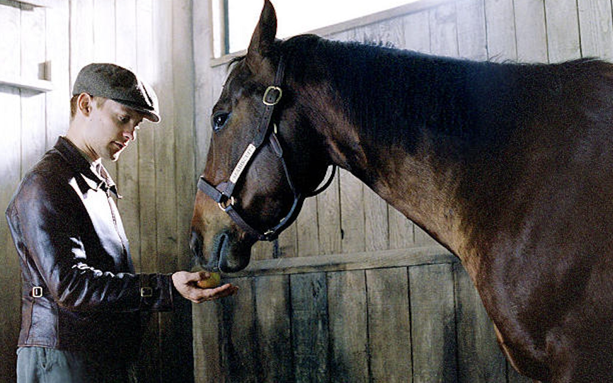 Dead Popcorn Deelites The Horse Of Seabiscuit He Played The 2003 Film 