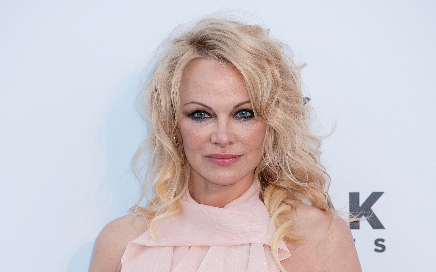 Pamela Anderson Netflix Sviluppa Un Documentario Dedicato Allattrice