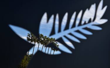 Palm trees are seen seeping through a palm, similar to the Palme d'Or, on May 13, 2019, on the eve of the opening of the 72nd Cannes Film Festival in Cannes, southeastern France. - This year's Cannes Film Festival is running from May 14th until May 25th. (Photo by LOIC VENANCE / AFP) (Photo by LOIC VENANCE/AFP via Getty Images)