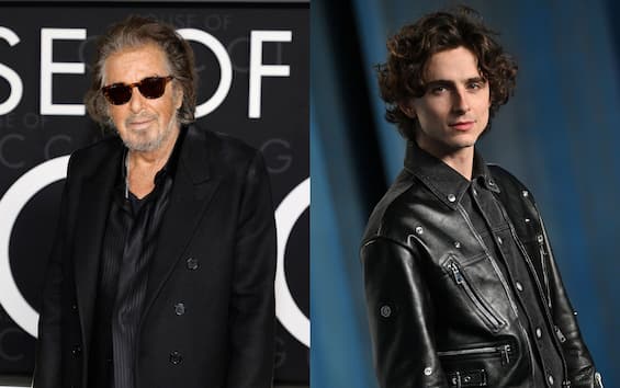 Heat 2, Al Pacino would like his role to go to Timothée Chalamet