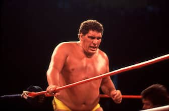 Andre the Giant at Wrestlemania 2 at the Rosemont Horizon in Rosemont, Illinois  April 7,1986.(Photo by Paul Natkin/Getty Images)