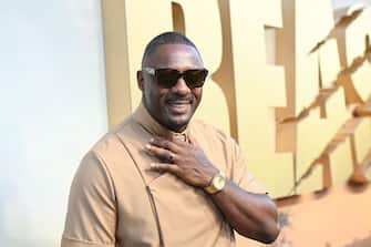 LONDON, ENGLAND - AUGUST 24: Idris Elba attends the UK Special Screening of "Beast" at Hackney Picturehouse on August 24, 2022 in London, England. (Photo by Kate Green/Getty Images for Universal)