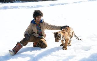Il Ragazzo e la Tigre Il Ragazzo e la Tigre