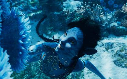 James Cameron è pronto a finire la saga di Avatar con il terzo film