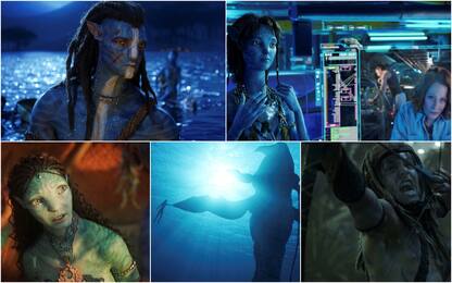 Avatar - La via dell'acqua, dalla trama al cast. La scheda del film
