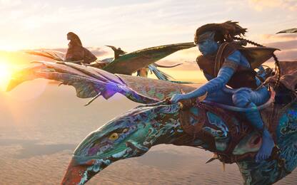 Avatar 2, la Cina ha allungato i tempi di proiezione della pellicola