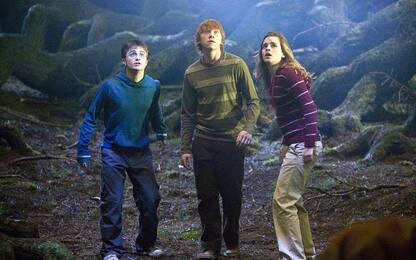 Harry Potter e l'Ordine della Fenice, il cast del film