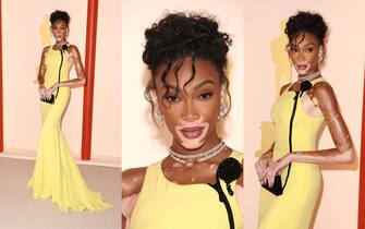 06_oscar_2023_red_carpet_winnie_harlow_ipa - 1 06_oscar_2023_red_carpet_winnie_harlow_ipa - 1