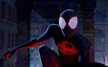 spider-man-across-the-spider-verse-webphoto