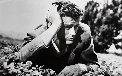 James Dean, all'asta oggetti inediti dell'attore