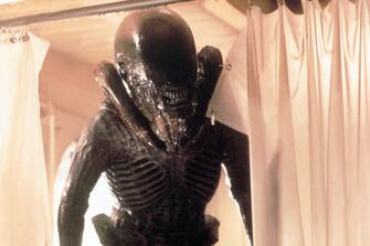 Alien, 20 curiosities about the film returned to the cinema after 40 years.  PHOTO