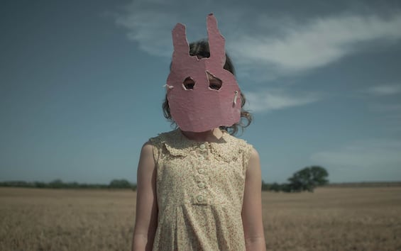 The bite of the rabbit plot and cast of the new horror film landed on 