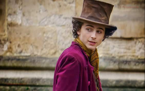 Wonka, Timothée Chalamet got the role without auditioning - Italian Post