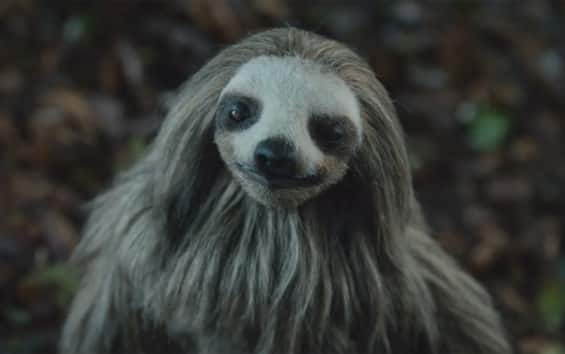 Slotherhouse, the horror trailer starring a killer sloth