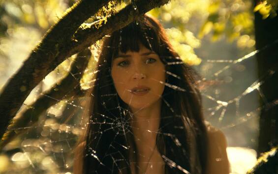 Madame Web, the trailer of the new film with Dakota Johnson.  VIDEO