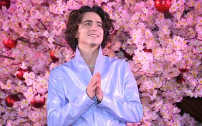 Timothée Chalamet sul sogno di Wonka: "A 12 anni non ci avrei creduto"