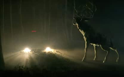 Bambi, le prime immagini del film horror