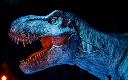 Jurassic World 4, cosa sappiamo finora sulla trama e sul cast del film