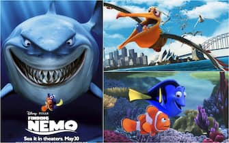 Finding Nemo, Pixar’s masterpiece came out 20 years ago: trivia.  PHOTO