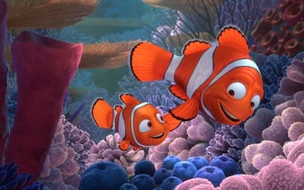 "FINDING NEMO 3D" (L-R) NEMO and MARLIN. ©2012 Disney/Pixar. All Rights Reserved.