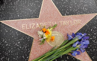 Hollywood, Fiori in ricordo di Liz Taylor sulla "Walk of Fame". Nella foto la stella di Elizabeth Taylor coperta di fiori.