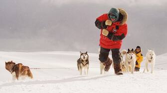 Pictured:   Jerry Shepard (PAUL WALKER) in a scene from Disney's EIGHT BELOW, directed by Frank Marshall.     



THIS MATERIAL MAY BE LAWFULLY USED IN ALL MEDIA EXCLUDING THE INTERNET, ONLY TO PROMOTE THE RELEASE OF THE MOTION PICTURE ENTITLED "EIGHT BELOW" DURING THE PICTURE'S PROMOTIONAL WINDOWS. ANY OTHER USE, RE-USE, DUPLICATION OR POSTING OF THIS MATERIAL IS STRICTLY PROHIBITED WITHOUT THE EXPRESS WRITTEN CONSENT OF BUENA VISTA PICTURES. AND COULD RESULT IN LEGAL LIABILITY. YOU WILL BE SOLELY RESPONSIBLE FOR ANY CLAIMS, DAMAGES, FEES, COSTS, AND PENALTIES ARISING OUT OF UNAUTHORIZED USE OF THIS MATERIAL BY YOU OR YOUR AGENTS. 



NOT FOR INTERNET USE. APPROVED FOR PRINT OUTLETS ONLY.