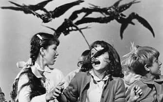 Crows chasing school children in Alfred Hitchcock's The Birds. (Photo by �� John Springer Collection/CORBIS/Corbis via Getty Images)