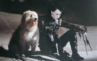 I migliori personaggi di Johnny Depp I migliori personaggi di Johnny Depp