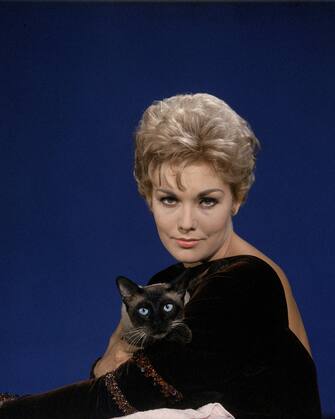 UNITED STATES - SEPTEMBER 01:  Portrait of actress Kim Novak w. Siamese cat.  (Photo by Eliot Elisofon/The LIFE Picture Collection via Getty Images)