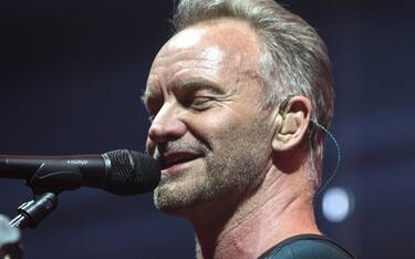 sting-ipa