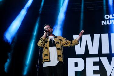 WPeyote2