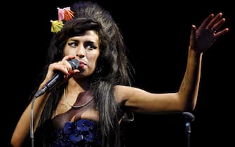 Amy Winehouse on stage during a concert