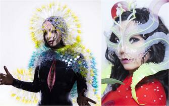 bjork album dischi vulnicura