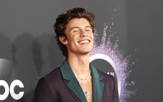 epa08023645 Canadian singer Shawn Mendes arrives for the 2019 American Music Awards at MMicrosoft Theater L.A. LIVE in Los Angeles, California, USA, 24 November 2019.  EPA/NINA PROMMER