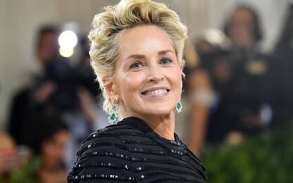 The Flight Attendant 2, Sharon Stone entra nel cast della serie tv