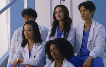 Grey's Anatomy 19