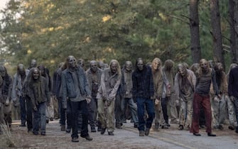 The Walking Dead 11C