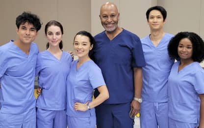 Grey's Anatomy 19, le anticipazioni sulla nuova stagione