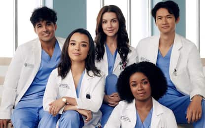 Grey's Anatomy 19, i poster dei nuovi specializzandi