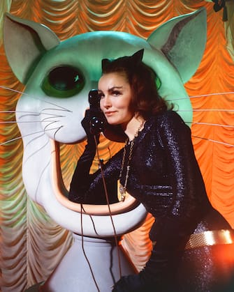 American actress Julie Newmar as Catwoman in the 'Batman' TV series, circa 1966. (Photo by Silver Screen Collection/Hulton Archive/Getty Images)