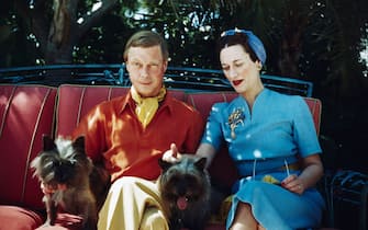 515463142 The Duke and Duchess of Windsor seated outdoors with two small dogs.