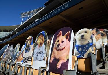 Los Angeles, alle partite dei Dodgers anche cartonati di cani e gatti