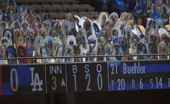 LOS ANGELES, CA - AUGUST 09: Cardboard cutouts of pets are placed in seats where fans usually sit during the San Francisco Giants and Los Angeles Dodgers baseball game at Dodger Stadium on August 9, 2020 in Los Angeles, California. Dodger fans for $149, can now purchase a Los Angeles Dodgers Fan Cutout for their dog and cat. Net proceeds from the sale of cutouts will benefit the Los Angeles Dodgers Foundation. (Photo by Kevork Djansezian/Getty Images)