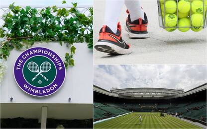 Wimbledon 2022, dal tabellone ai favoriti: cosa c’è da sapere