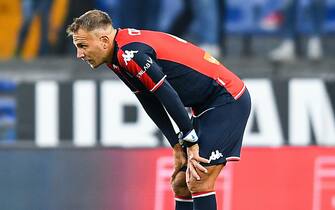 Domenico Criscito Domenico Criscito, difensore del Genoa